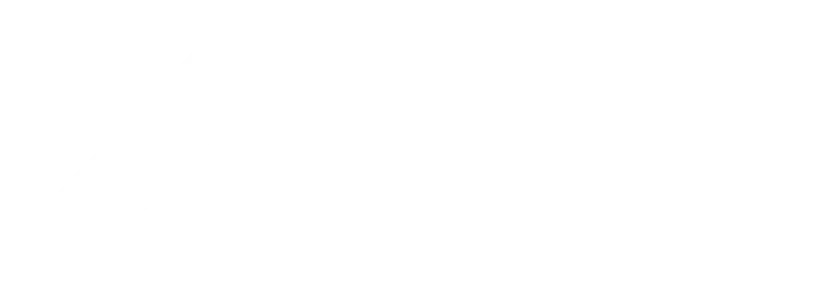 Bridges Healthcare logo