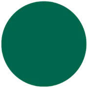 Devereux Service Center Volusia logo