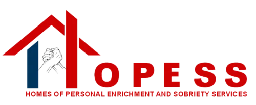 HOPESS Kings Home logo