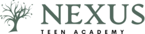 Nexus Teen Academy: Mesquite logo