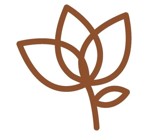 Root + Rise Perinatal Health logo